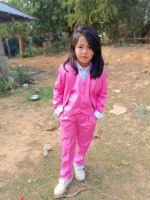 ৫ পিসের পার্টি ওয়্যার ( pink  blazer ) - Image 3